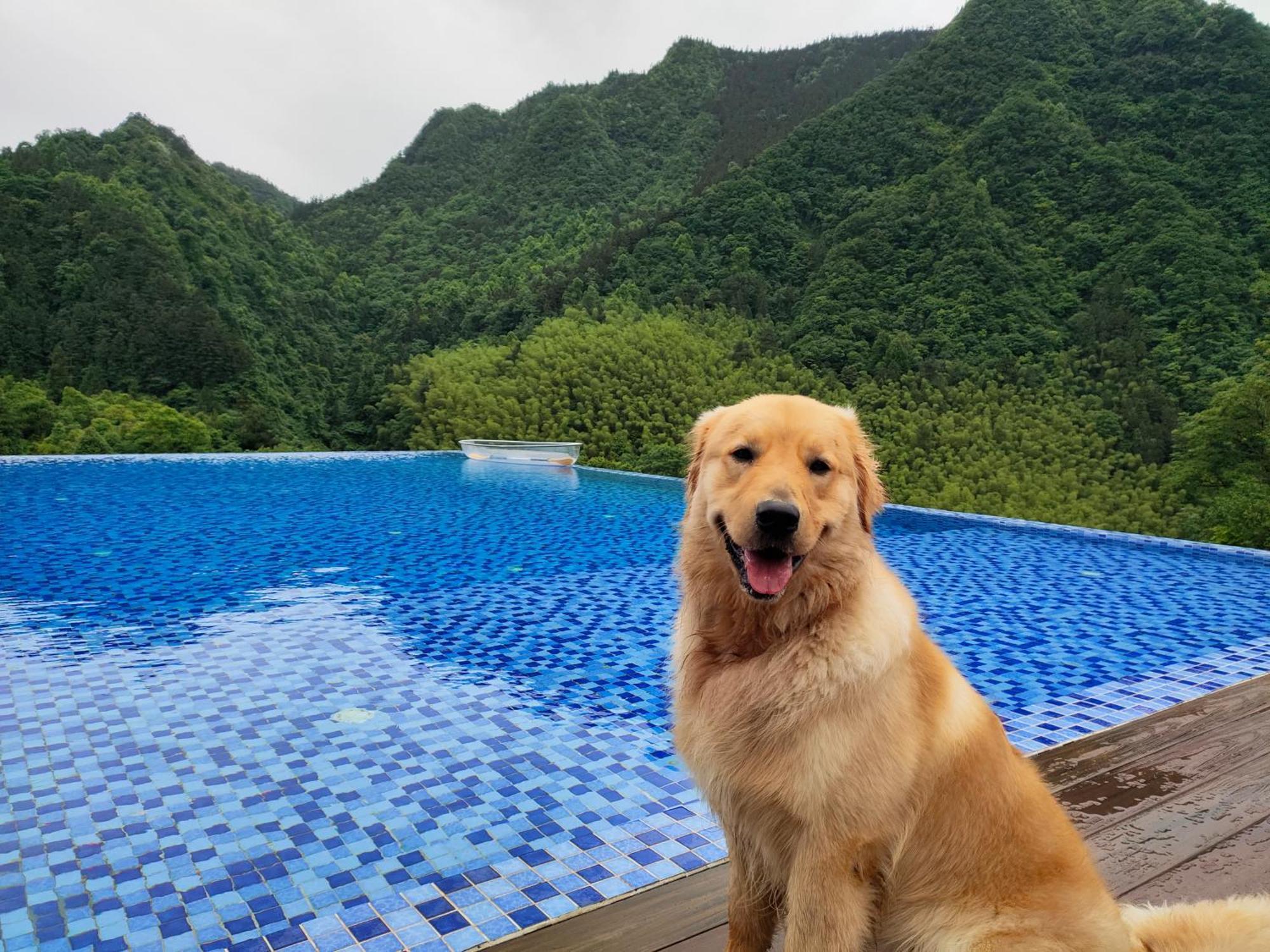 Hilltop House Resort Zhangjiajie Εξωτερικό φωτογραφία